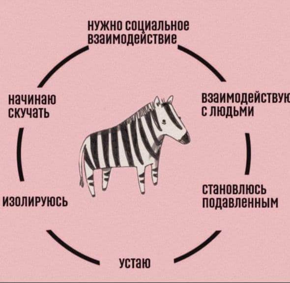 Интроверты против open space - 4