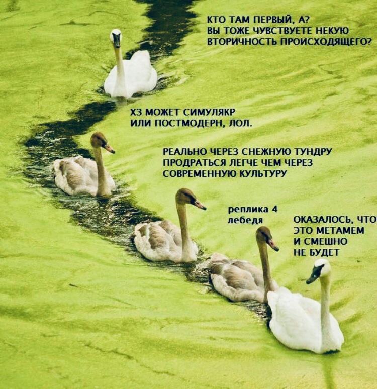 Двадцать один год XXI века в мемах. Часть 4: 2016-2018 - 8 Двадцать один год XXI века в мемах. Часть 4: 2016-2018 - 8