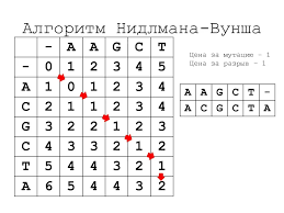 Биоинформатика — это наука или всё же метод? - 10