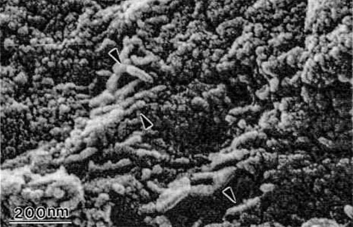 Как на Марсе нашли органику - 6 Как на Марсе нашли органику - 6