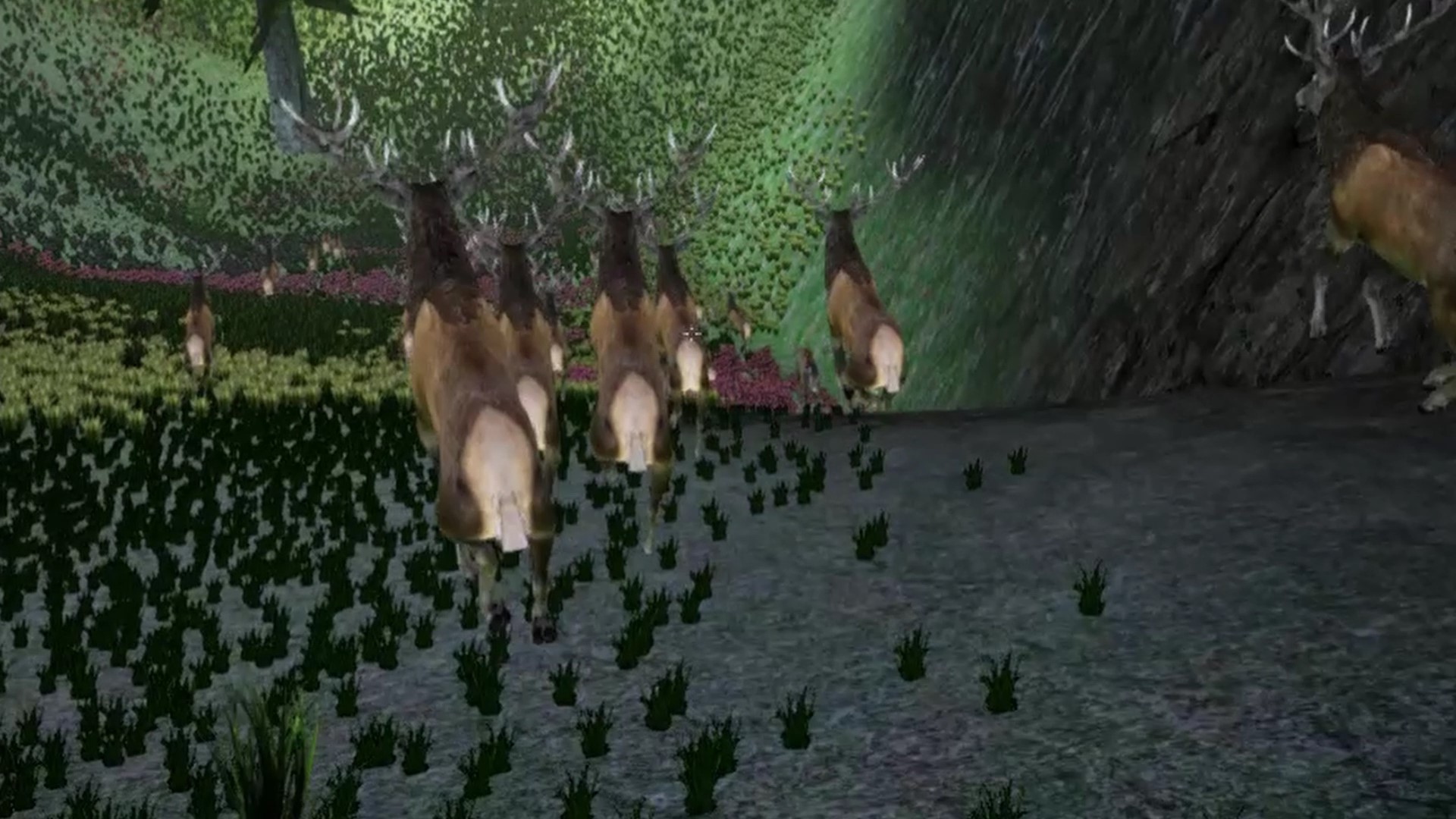 Бегут Бегут