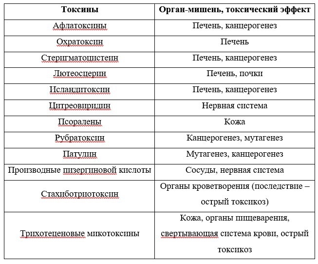 Плесень — друг и-или враг человечества? - 7