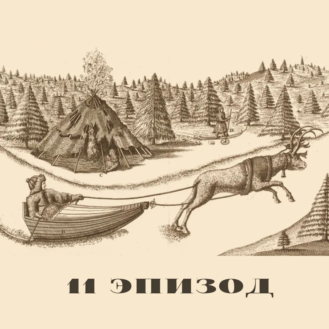 Олень - дикий зверь. Олень - дикий зверь.