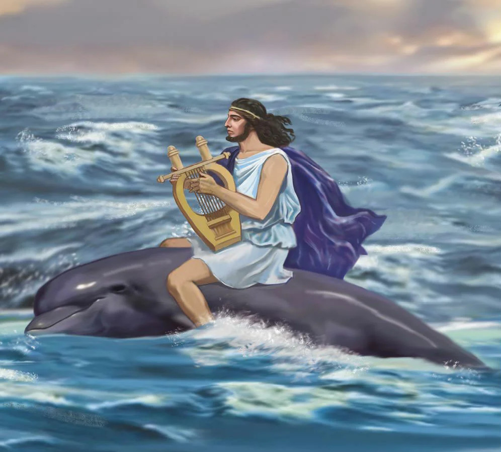 Созвездие Дельфина - 25