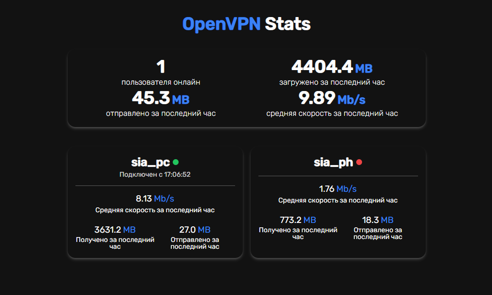 Так выглядит веб-интерфейс для мониторинга трафика