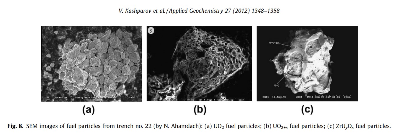 Изображения различных типов топливных частиц под микроскопом