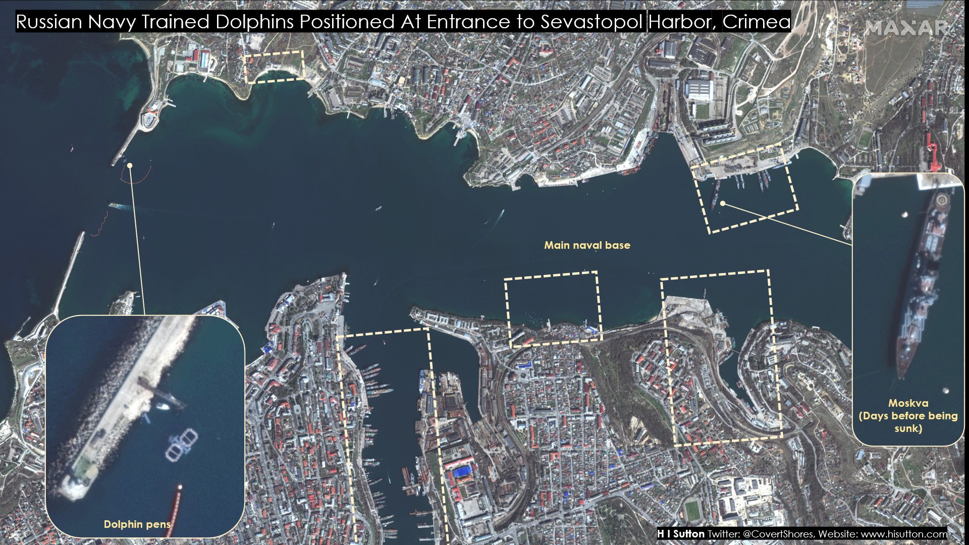 Американцы обнаружили боевых дельфинов в Севастопольской бухте - 1