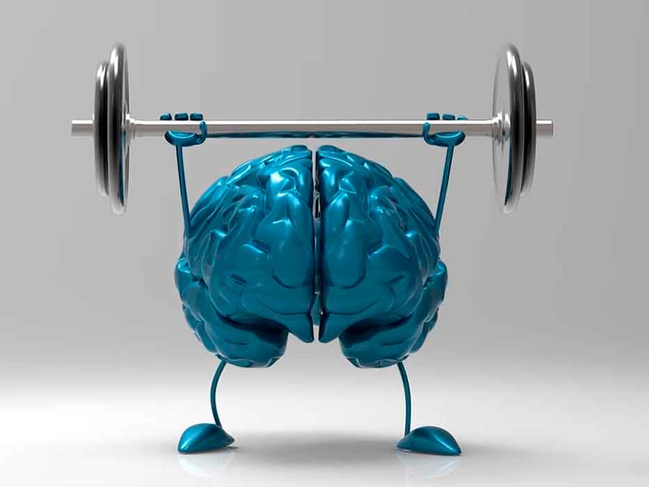Тренировка мозга для эффективной деятельности - 1