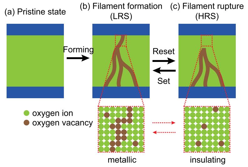 Рис. 2. Схематичное изображение процесса формирования токопроводящих нитей.(a) Pristine state - начальное состояние, (b) Filament formation (LRS) - формирование нити (низкое сопротивление), (c) Filament rupture (HRS) - разрыв нити (высокое сопротивление).