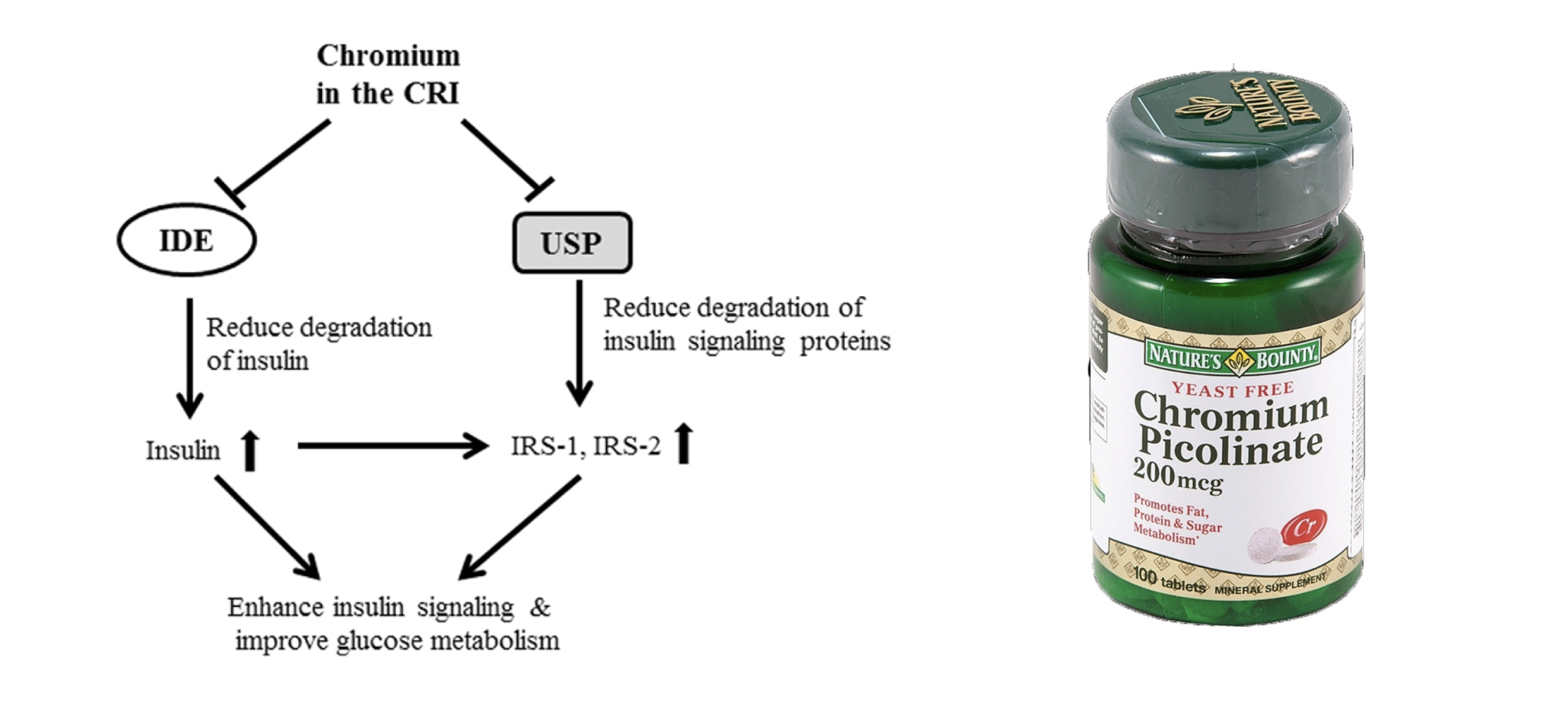 7 причин почему вы не худеете. Ожирение, инсулинорезистентность и диабет простыми словами - 14 7 причин почему вы не худеете. Ожирение, инсулинорезистентность и диабет простыми словами - 14