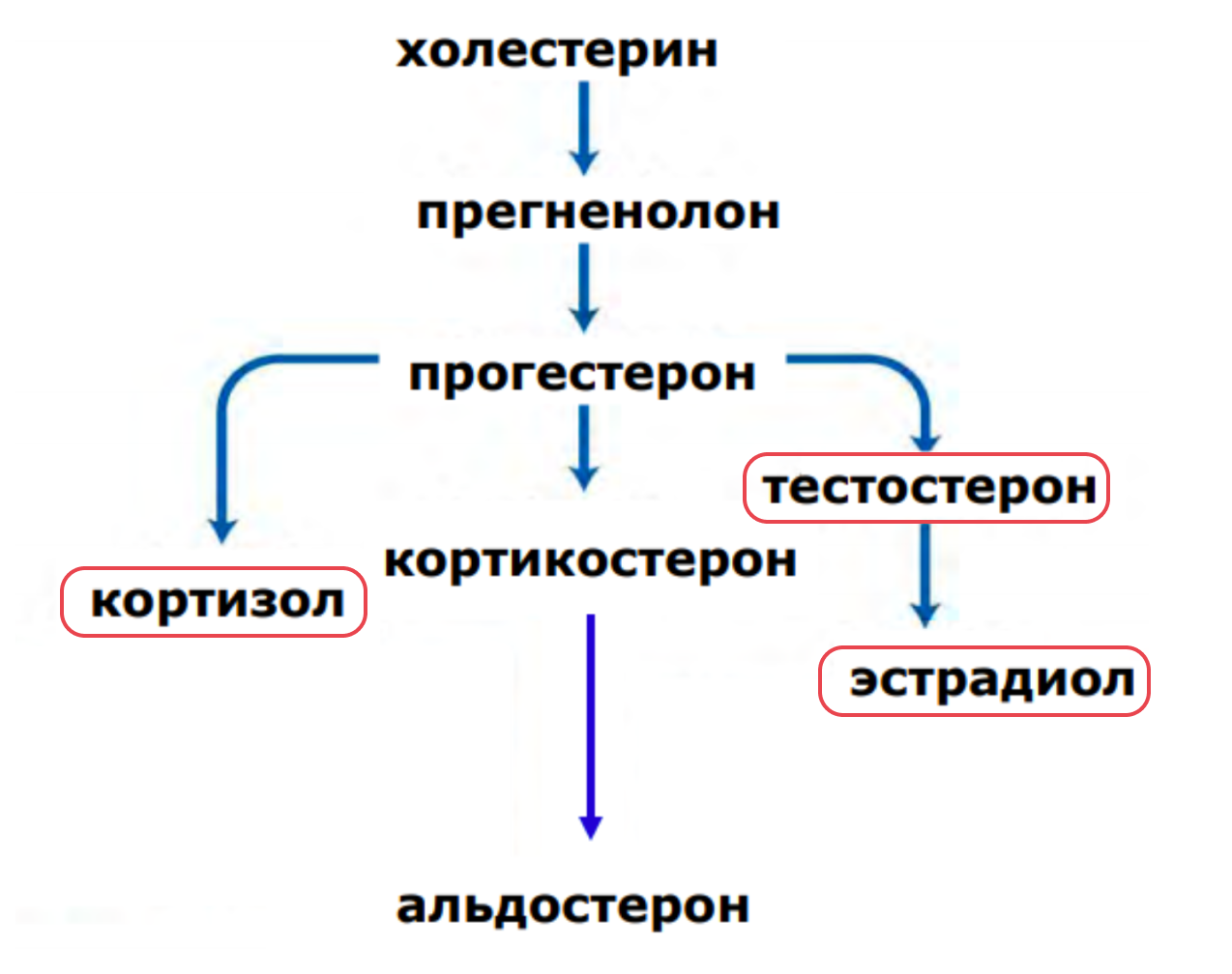 7 причин почему вы не худеете. Ожирение, инсулинорезистентность и диабет простыми словами - 17 7 причин почему вы не худеете. Ожирение, инсулинорезистентность и диабет простыми словами - 17