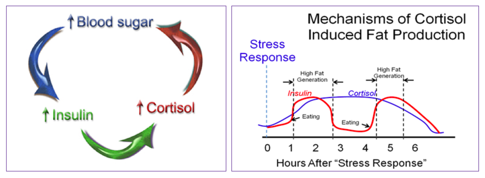 7 причин почему вы не худеете. Ожирение, инсулинорезистентность и диабет простыми словами - 18 7 причин почему вы не худеете. Ожирение, инсулинорезистентность и диабет простыми словами - 18