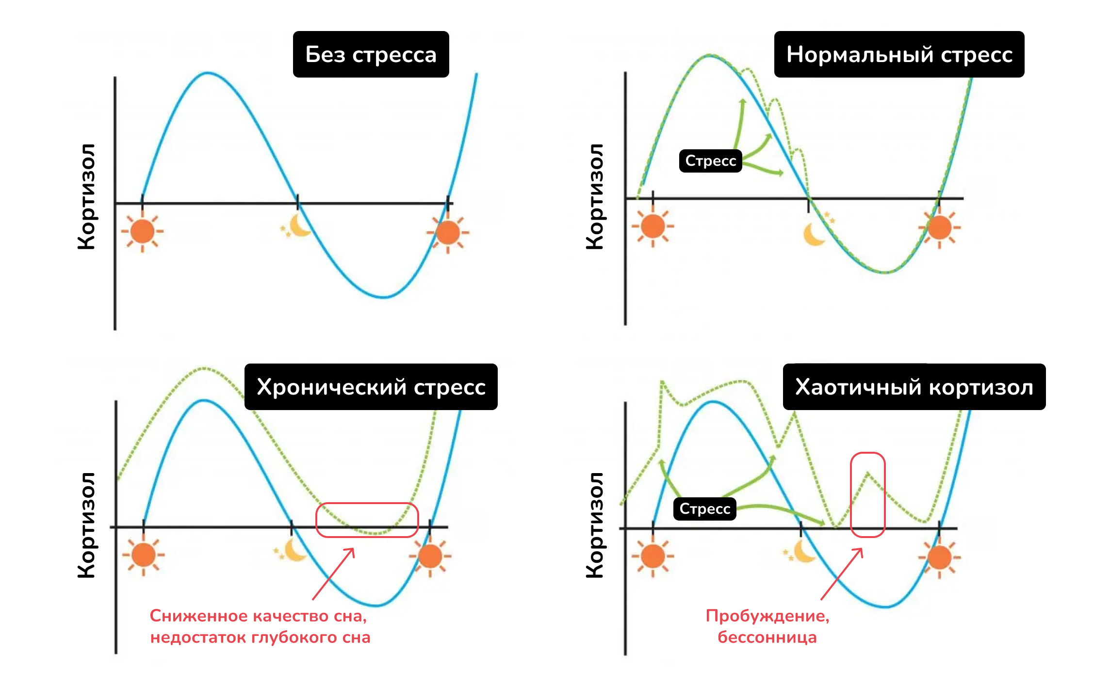 7 причин почему вы не худеете. Ожирение, инсулинорезистентность и диабет простыми словами - 19 7 причин почему вы не худеете. Ожирение, инсулинорезистентность и диабет простыми словами - 19