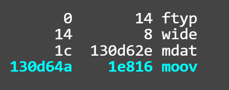 Рис. 3 Структура стандартного MOV файла Рис. 3 Структура стандартного MOV файла