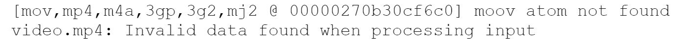 Рис. 8 Лог ошибки для video.mp4 Рис. 8 Лог ошибки для video.mp4
