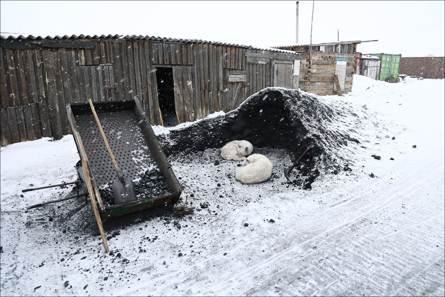 «Арктическая база» без современных технологий: как живут оленеводы - 12