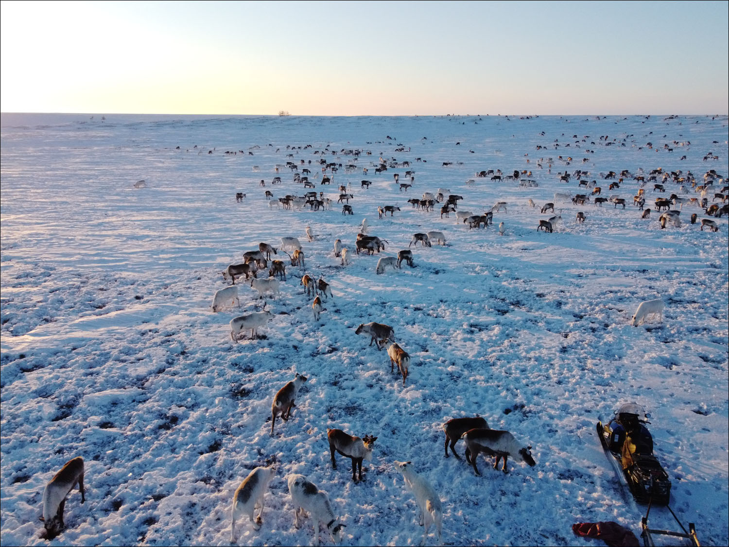 «Арктическая база» без современных технологий: как живут оленеводы - 24