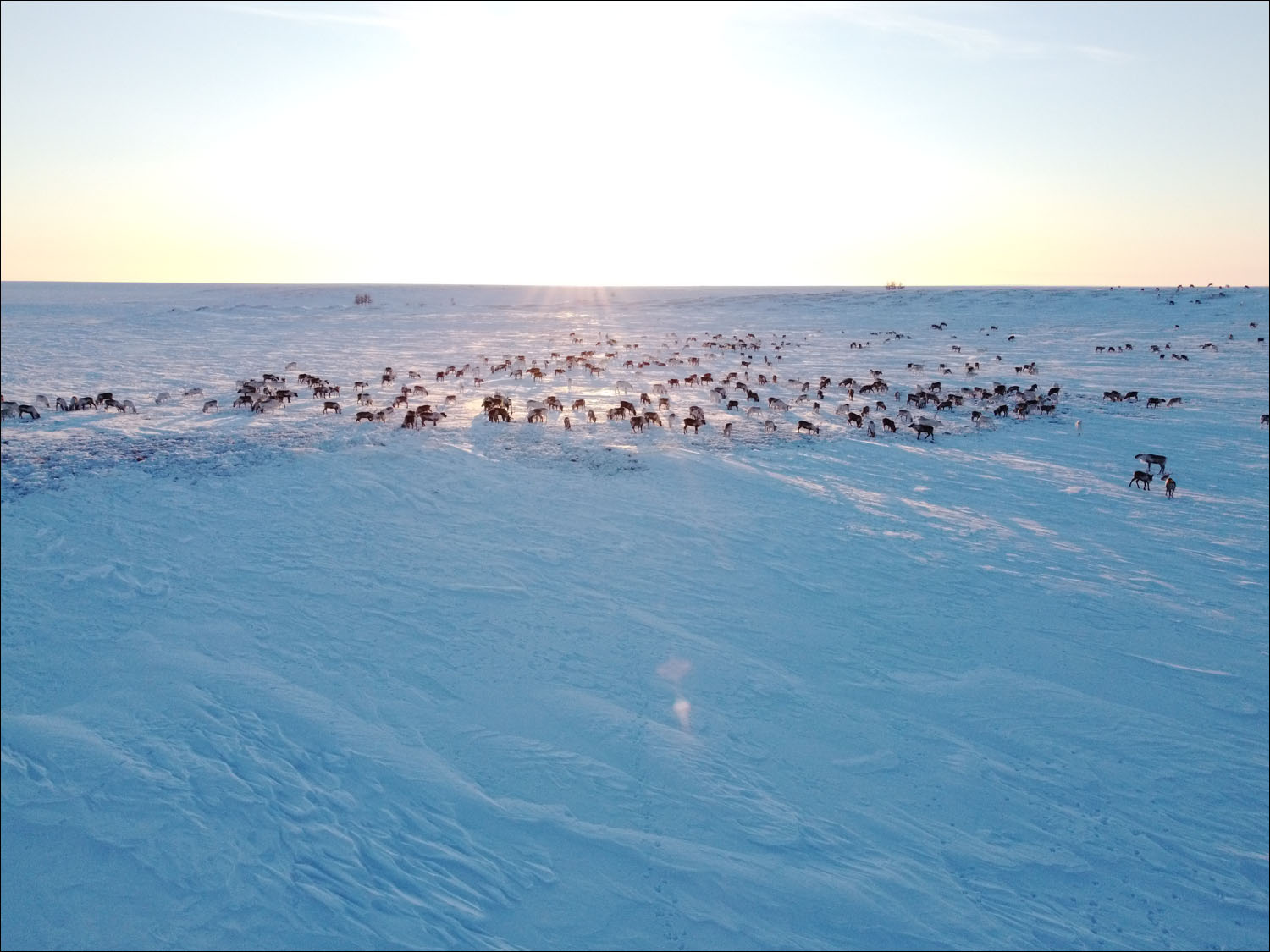 «Арктическая база» без современных технологий: как живут оленеводы - 3