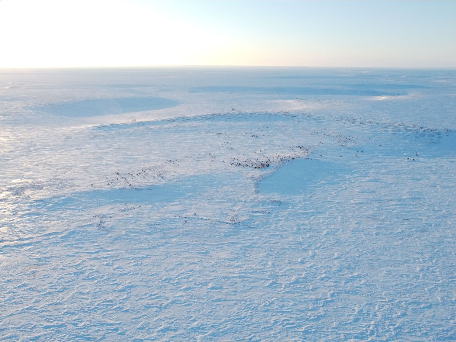 «Арктическая база» без современных технологий: как живут оленеводы - 34