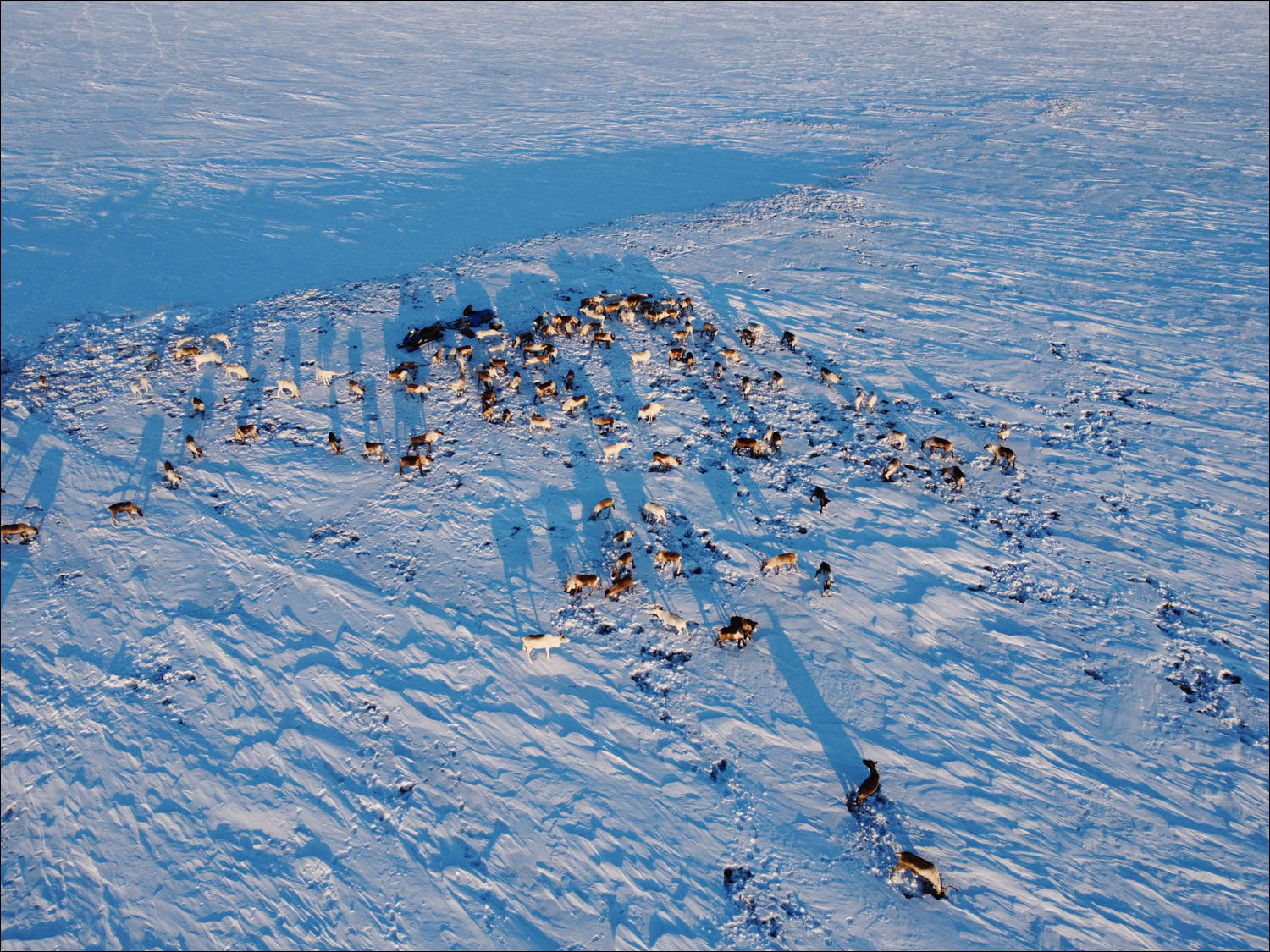 «Арктическая база» без современных технологий: как живут оленеводы - 4