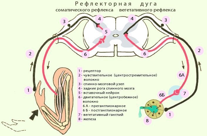 Как понять, что стоматолог адекватный - 15