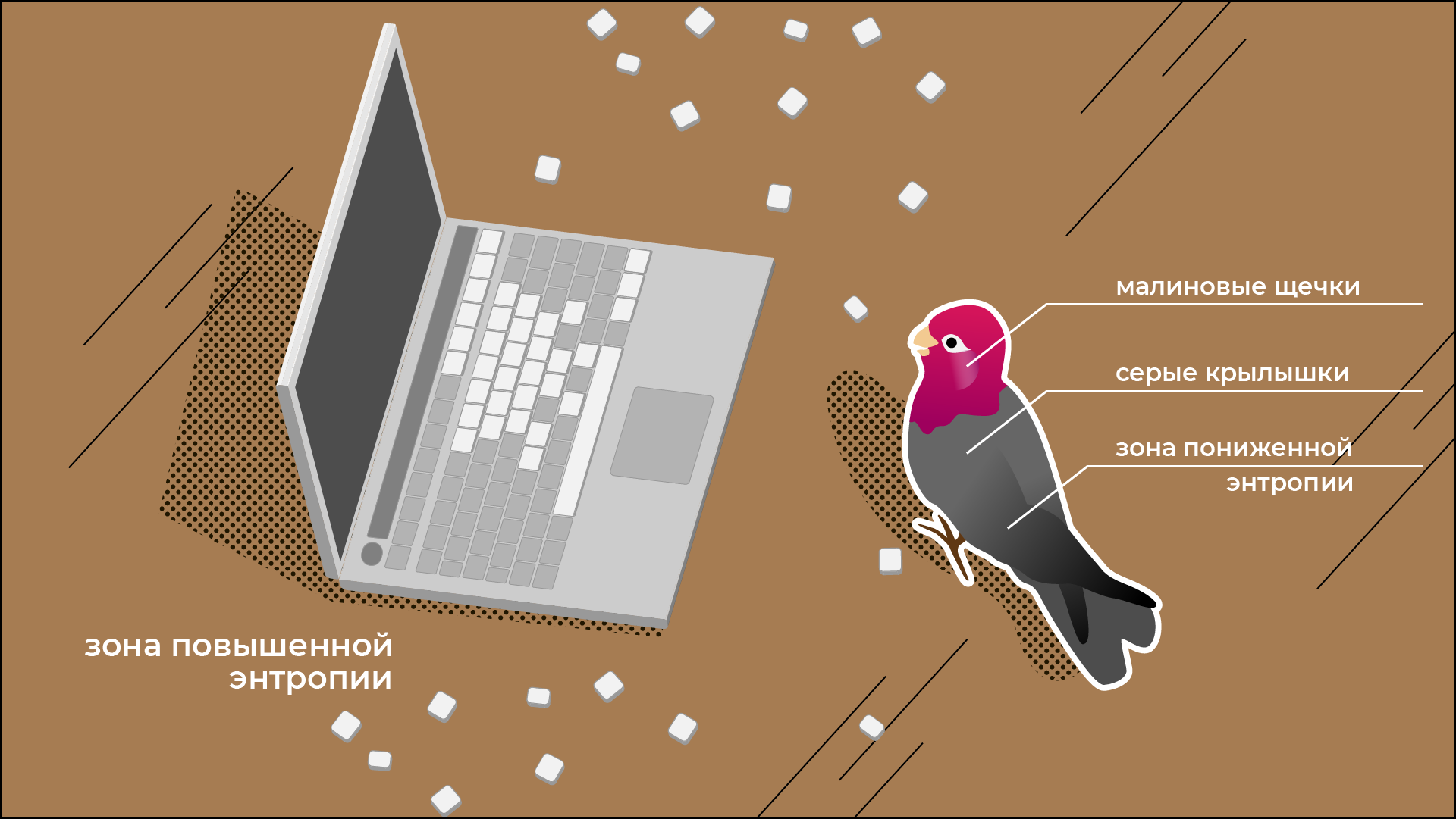 Программист и энтропия - 1