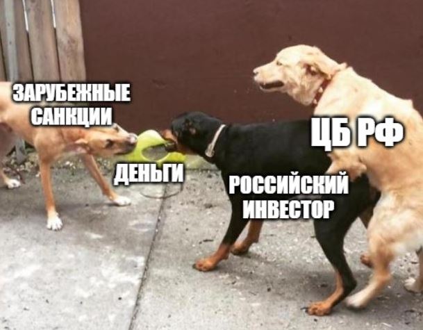 Банки вводят штрафы за безналичный доллар: что делать с валютой, и стоит ли метнуться кабанчиком к иностранным брокерам - 9