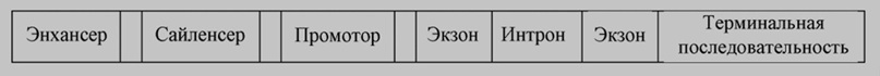 Кто на самом деле открыл ДНК? История изучения гена - 15