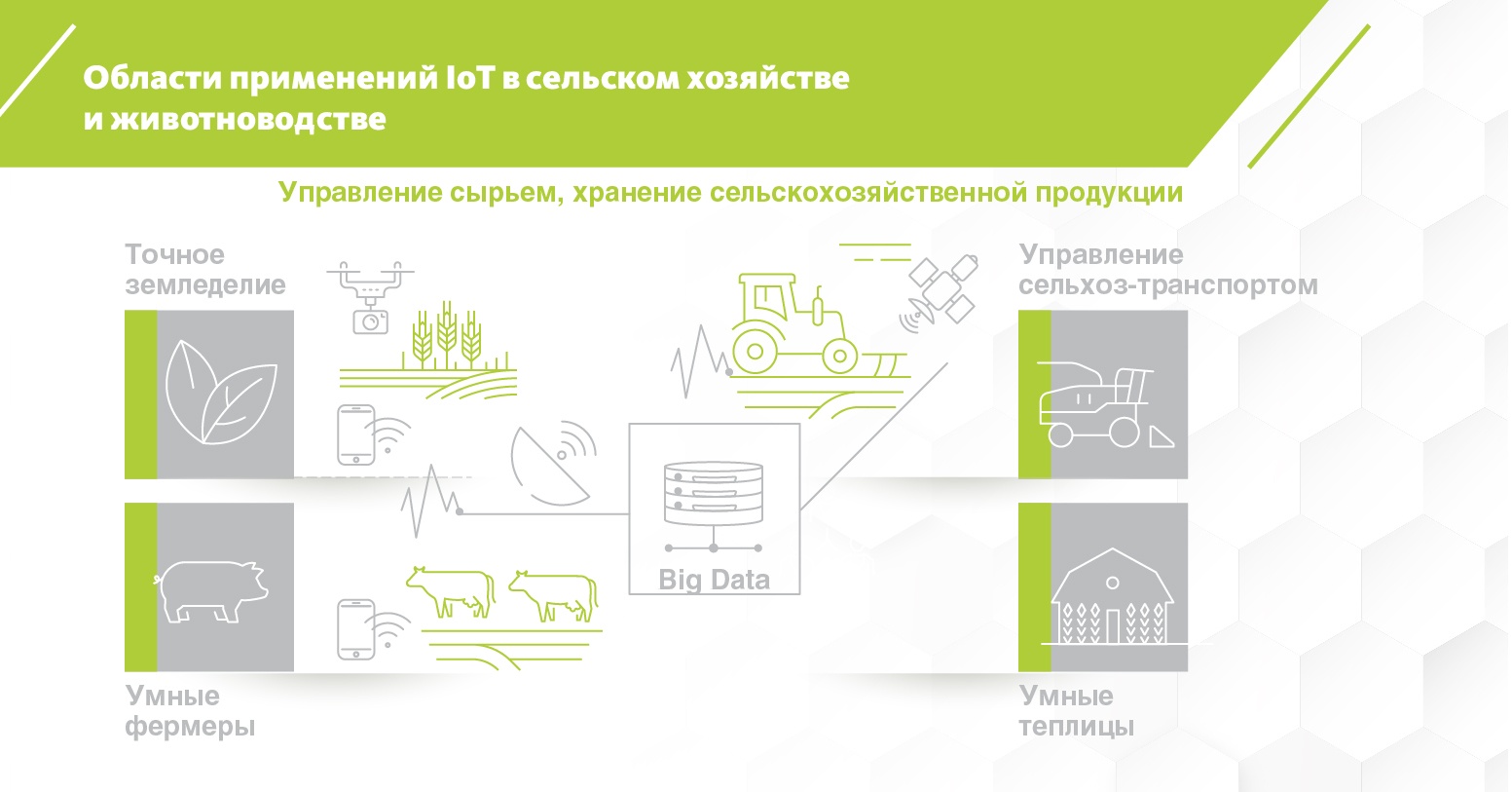 Дать растениям больше солнце и сделать хрюшек на ферме счастливее можно благодаря девайсам на основе интернета вещей Дать растениям больше солнце и сделать хрюшек на ферме счастливее можно благодаря девайсам на основе интернета вещей