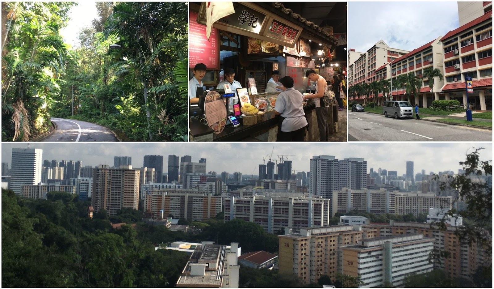 Сингапур: город, который построил Ли. Матрица или идеальная планировка? - 3