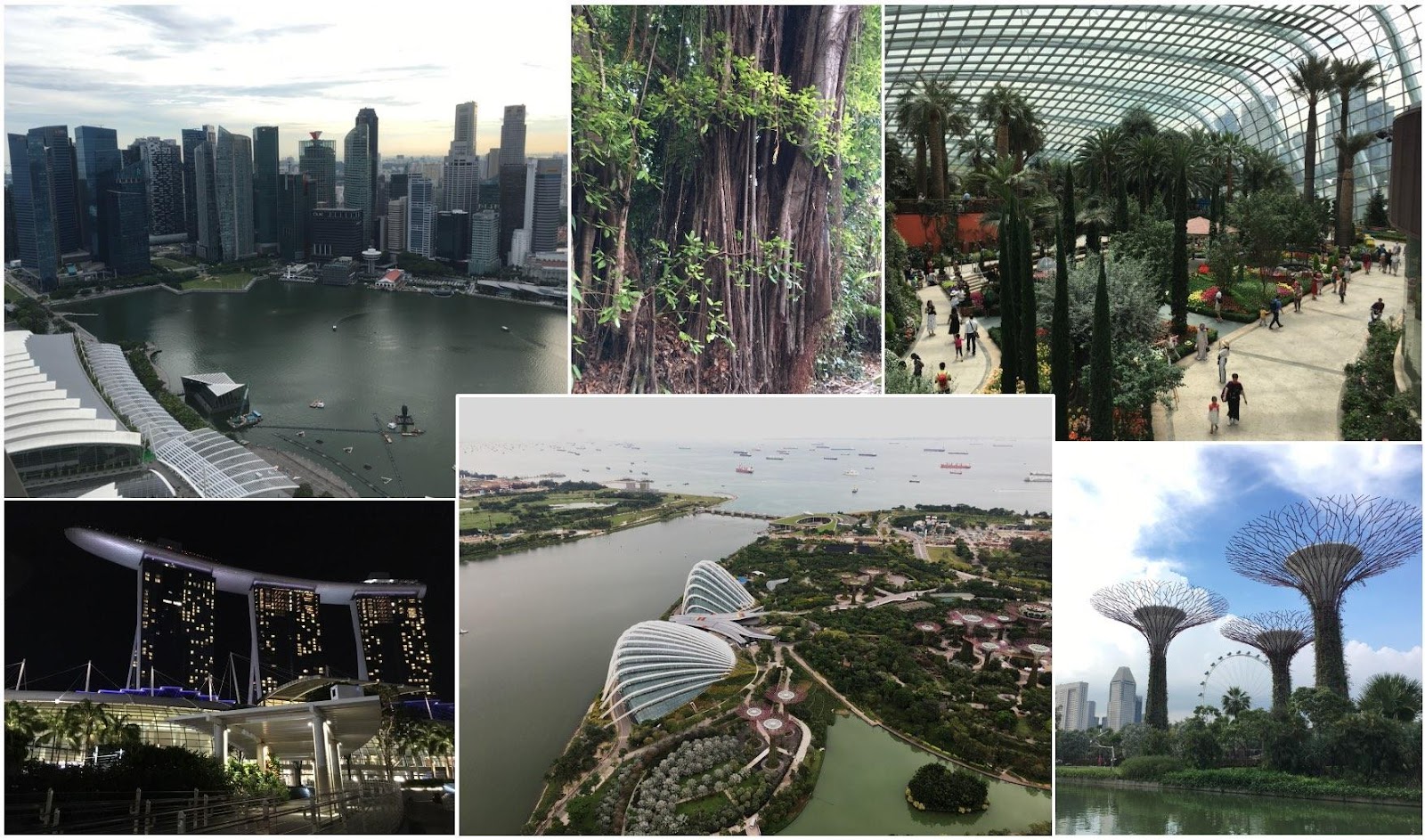 Сингапур: город, который построил Ли. Матрица или идеальная планировка? - 6