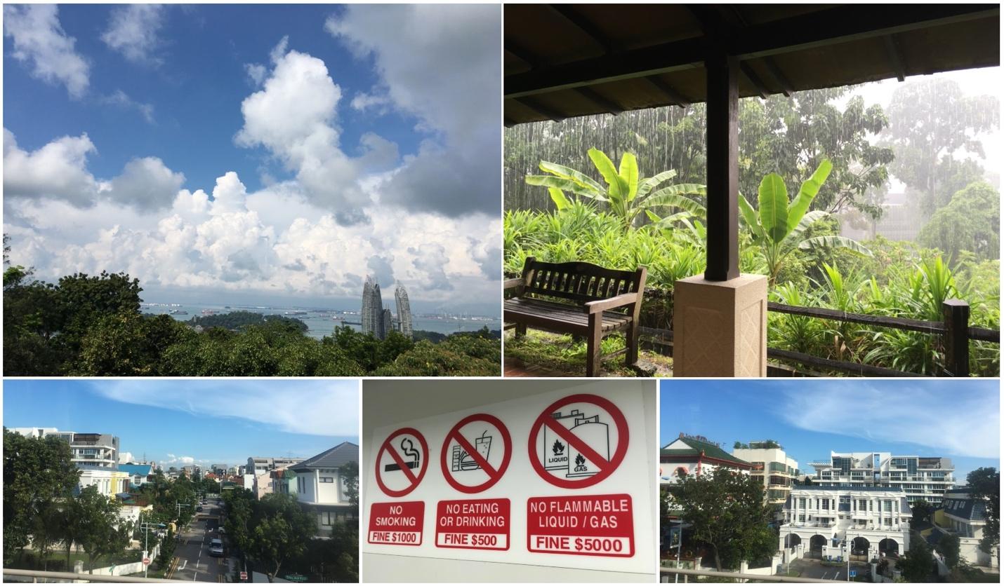 Сингапур: город, который построил Ли. Матрица или идеальная планировка? - 9