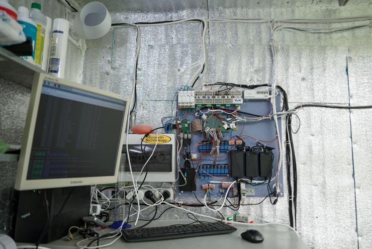 Клубничная чудо-коробка 2.0. Часть вторая - 18 Клубничная чудо-коробка 2.0. Часть вторая - 18