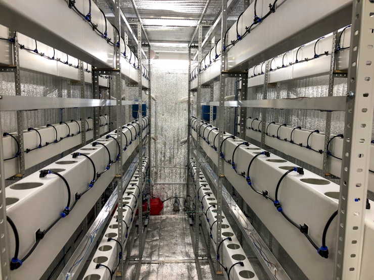 Клубничная чудо-коробка 2.0. Часть вторая - 20 Клубничная чудо-коробка 2.0. Часть вторая - 20