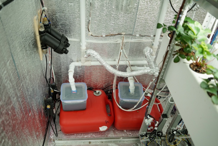 Клубничная чудо-коробка 2.0. Часть вторая - 22 Клубничная чудо-коробка 2.0. Часть вторая - 22