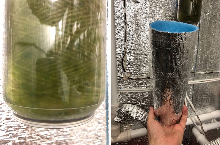 Клубничная чудо-коробка 2.0. Часть вторая - 25 Клубничная чудо-коробка 2.0. Часть вторая - 25