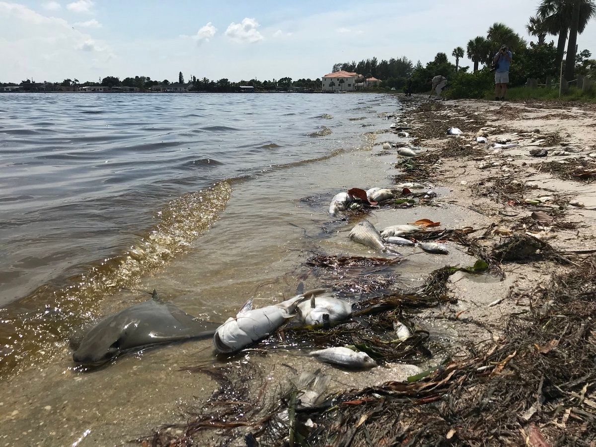 Что такое балласт, и зачем его качать - 3 Что такое балласт, и зачем его качать - 3