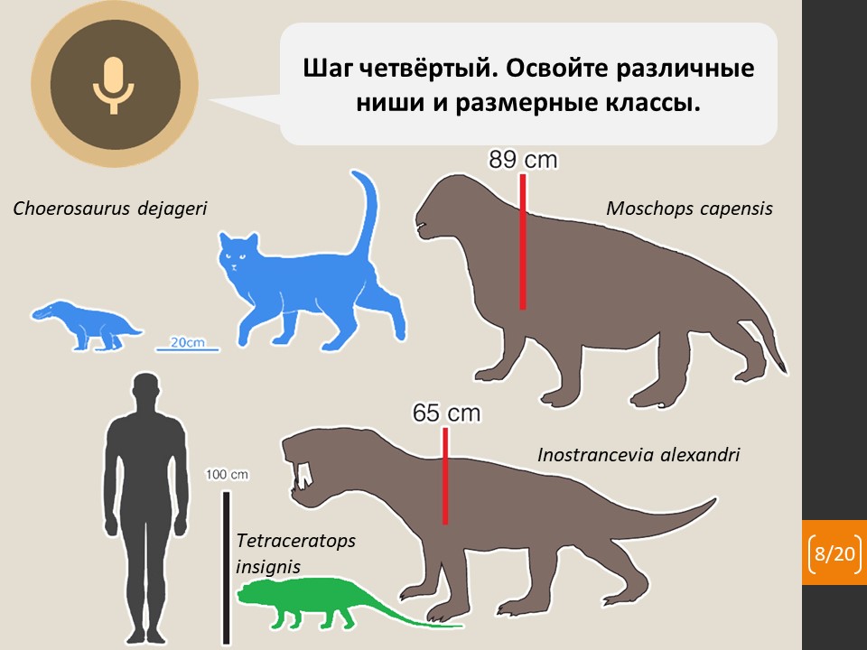 Как звероящеры стали нами? - 13