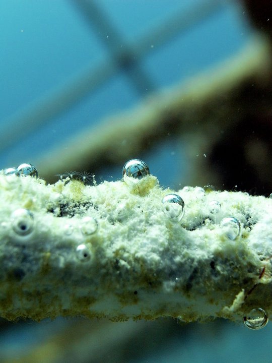 Плавучие города. Современные прототипы Атлантиды - 9