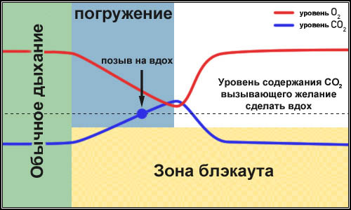 При обычном дыхании уровень углекислого газа побуждает нас сделать вдох раньше, чем кислород упадет до критической отметки  