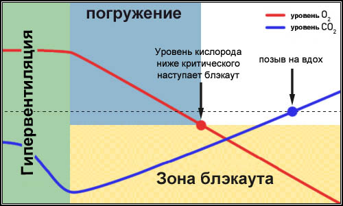 При гипервентиляции мы занижаем себе изначальный уровень углекислого газа, и позыв на вдох еще не возникает, а кислород уже упал до критической отметки