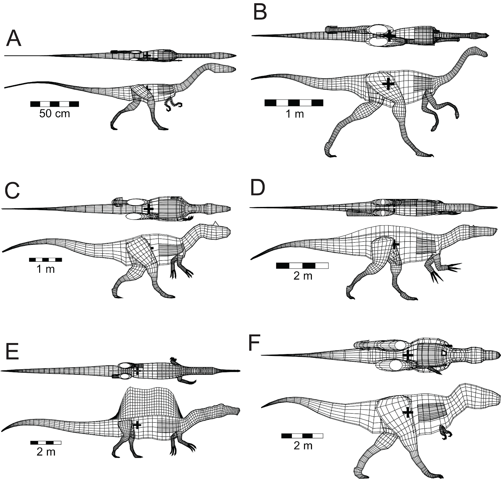 Цифровая палеонтология: как информационные технологии помогают изучать динозавров - 12
