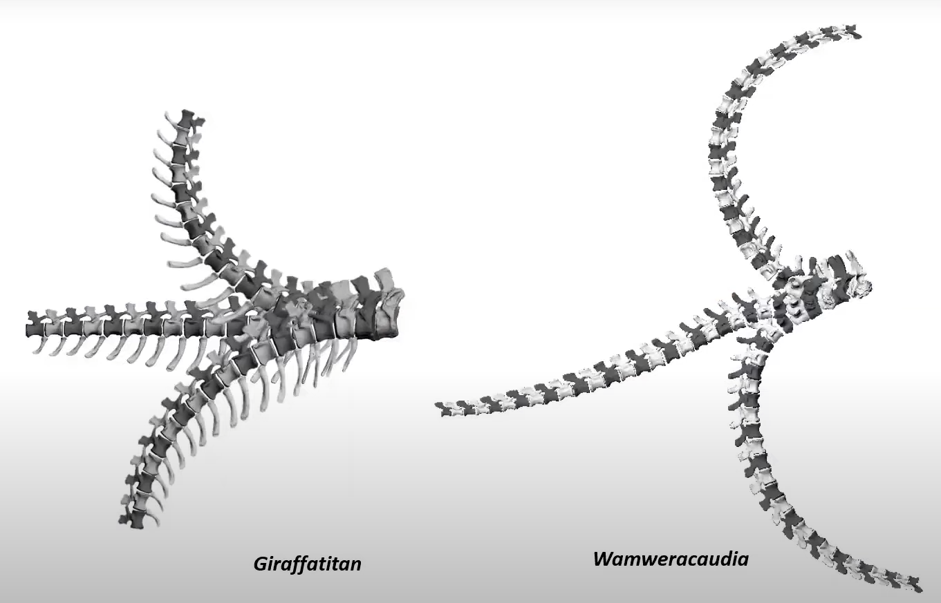 Цифровая палеонтология: как информационные технологии помогают изучать динозавров - 8