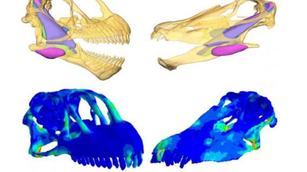 Цифровая палеонтология: как информационные технологии помогают изучать динозавров - 9