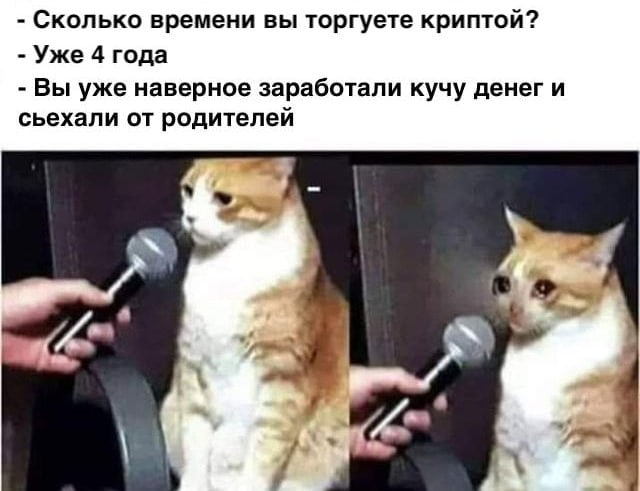 Возможно, этот милый котик – деген