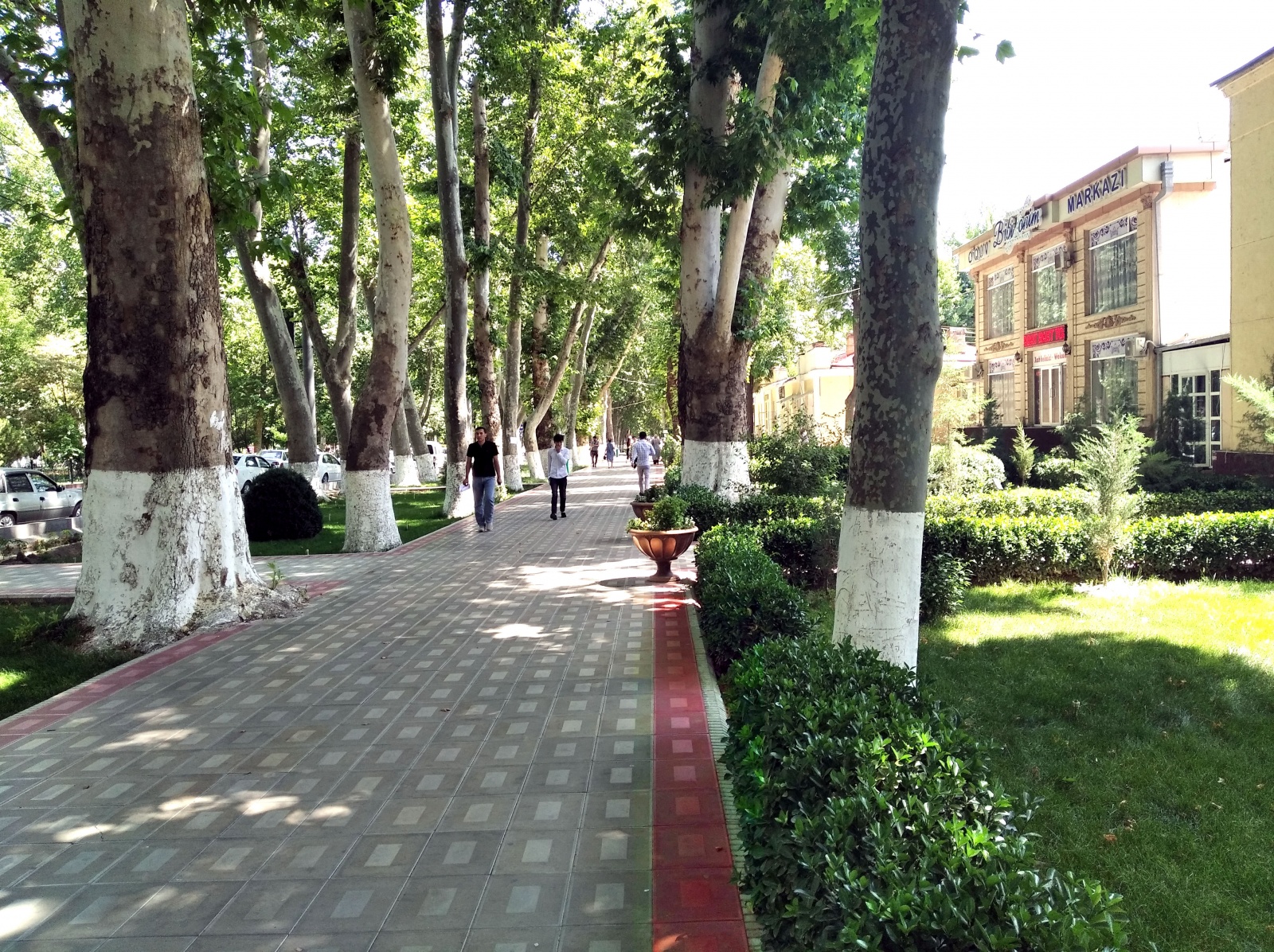 Ташкент и Самарканд. Одна страна — две разные вселенные - 21