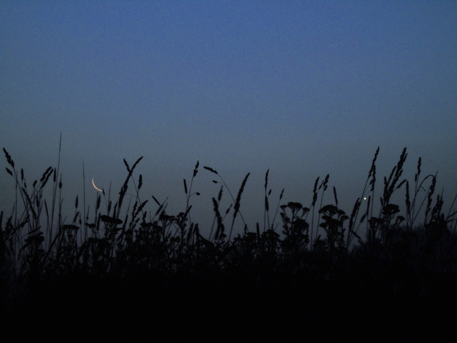 Ночь с 20 на 21 августа 2022. Околополярные созвездия — часть 4 - 15 Ночь с 20 на 21 августа 2022. Околополярные созвездия — часть 4 - 15