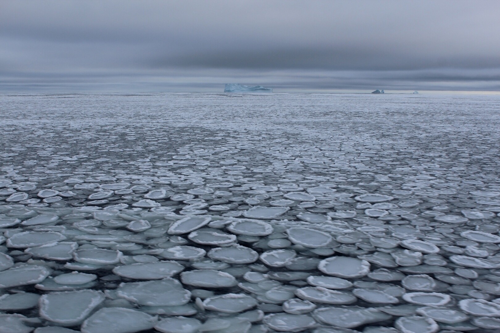 Блинчатый лед. Диаметр блинчиков — где-то от 30 см до 3 метров