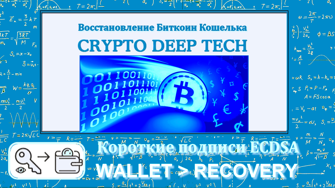 Восстановление Биткоин Кошелька через короткие подписи ECDSA - 1