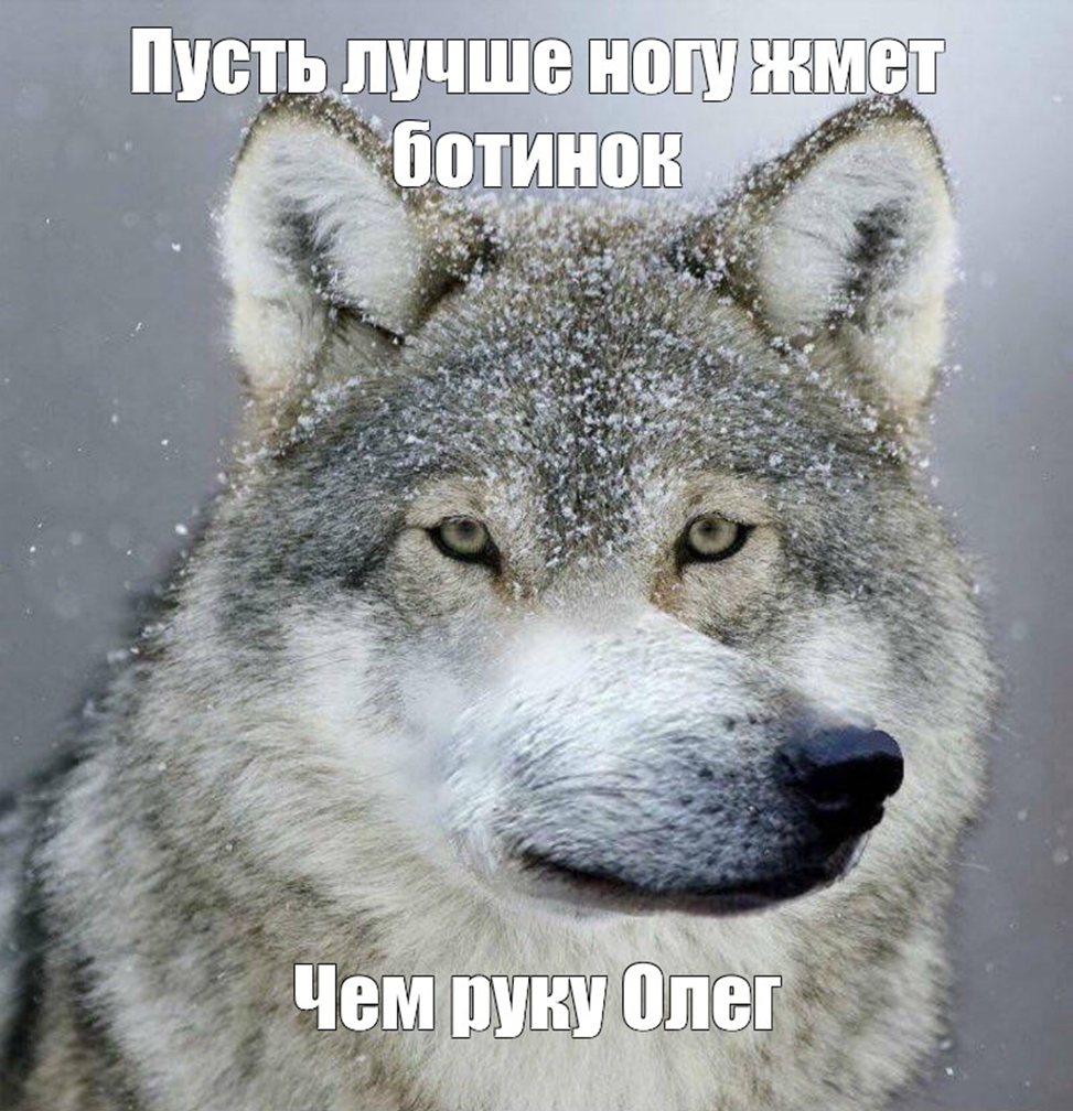 Шутка про олега